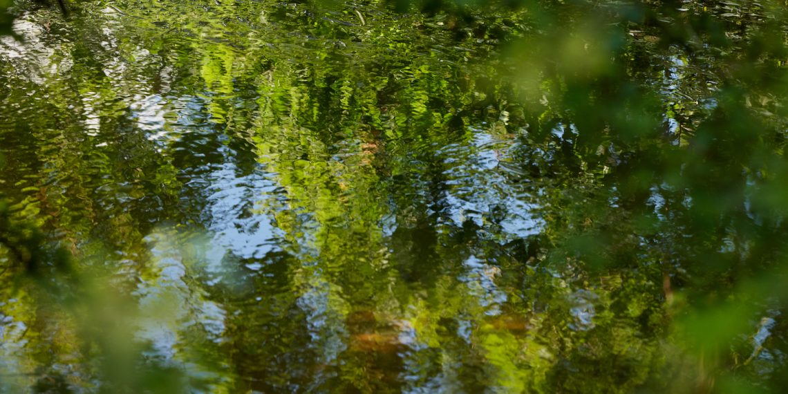 Contained in the Clear Waters of England’s Historic Chalk Streams