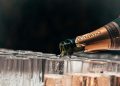 15 Finest Champagne Manufacturers | Enterprise Technique Hub