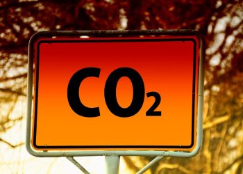 Utility of Default Values Through the Transitional Part of the Carbon Border Adjustment Mechanism (CBAM)