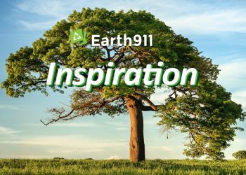 Earth911 Inspiration: Farmers Pay The Value For Local weather Information Purges