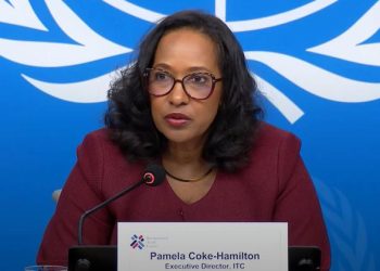 US tariffs transfer might see three per cent fall in world commerce, says prime UN economist