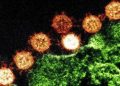 Ask Ethan: Couldn’t COVID-19 have originated in a Chinese language Lab? | by Ethan Siegel | Begins With A Bang! | Apr, 2025
