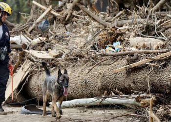 FEMA Isn’t Prepared for Catastrophe Season, Employees Say