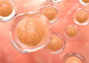 Cellino, Karis Bio Associate on Autologous iPSC-Based mostly Remedy for Cardiovascular Illness