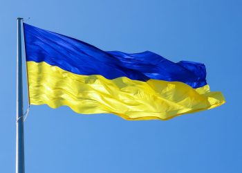 In extremis: what Ukraine 2.0 tells us about reforming authorities and the general public sector