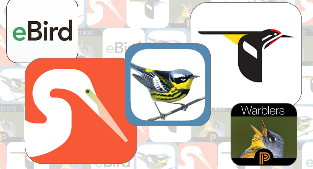 The Solely Birding Apps You may Ever Want