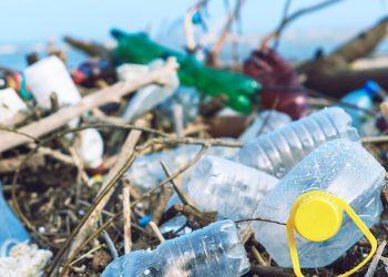 Why the UK must cease exporting plastic waste