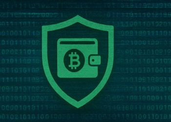 Prime Crypto Wallets of 2025: Balancing Safety and Comfort