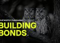Constructing bonds: Belief in fundraising