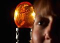 Can we convey again extinct animals and people? The science of de-extinction