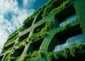 Rebuilding the Future with Recycled Concrete